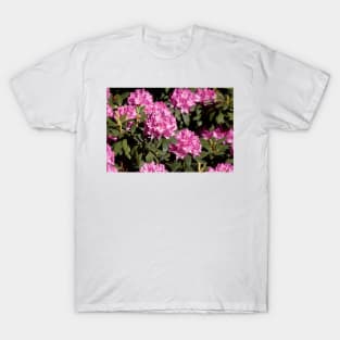 Purple rhododendron flower T-Shirt